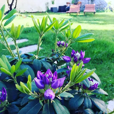 Moncoeur, Maison Et Jardin A 700 M Des Hospices De Tatil Evi