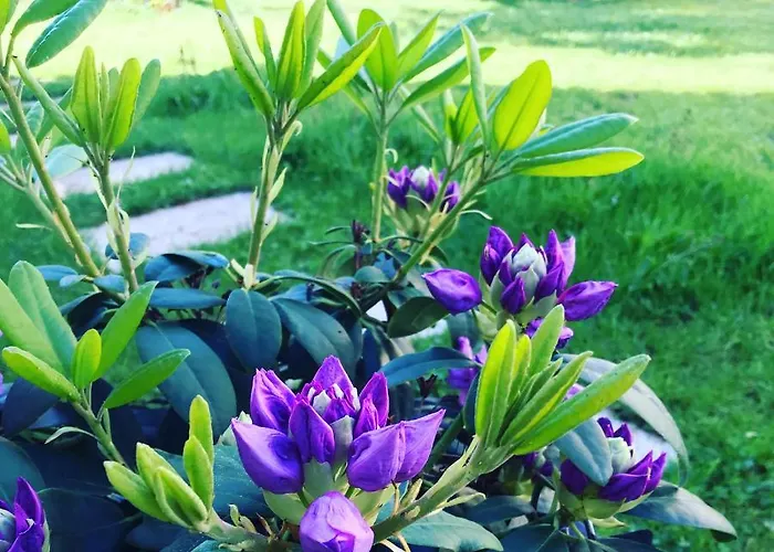 Moncoeur, Maison Et Jardin A 700 M Des Hospices De بيت للعطل