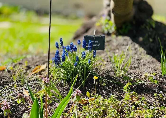 بيت للعطل Moncoeur, Maison Et Jardin A 700 M Des Hospices De بون